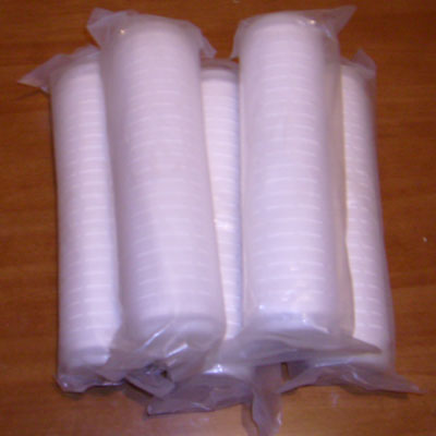 Household water purifier